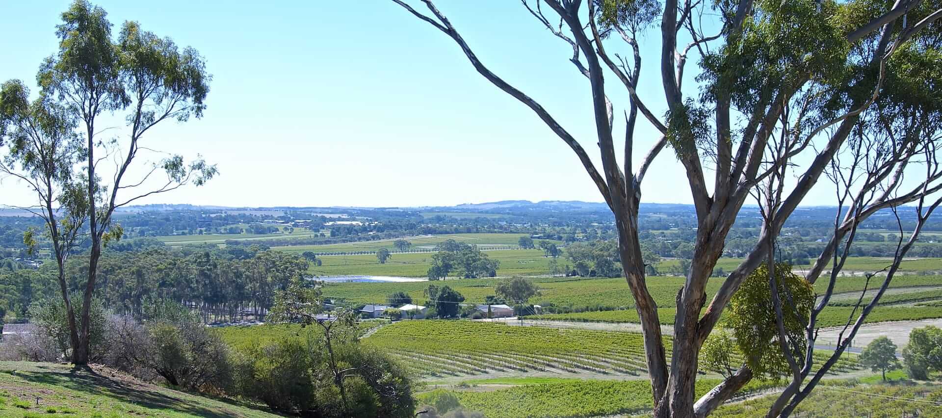 The Making of One Lonely Barrel’s Personally Produced Barossa Shiraz 2012